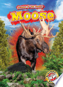 Moose cover