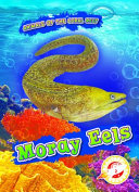 Moray Eels cover