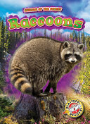 Raccoons cover