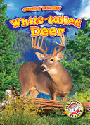 White-tailed Deer cover