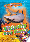 Whitetip Reef Sharks cover