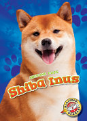 Shiba Inus cover