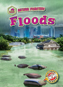 Floods cover