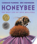 Honeybee: The Busy Life of Apis Mellifera cover