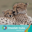 Cheetah Cubs cover