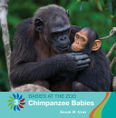 Chimpanzee Babies cover