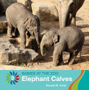 Elephant Calves cover