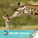 Giraffe Calves cover