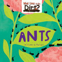 Ants cover