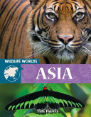 Asia cover