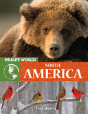 North America cover