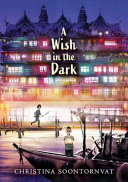 A Wish in the Dark cover