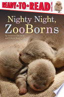 Nighty Night, Zooborns cover