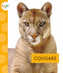 Cougars cover