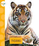 Tigers cover