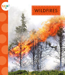 Wildfires cover