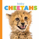 Baby Cheetahs cover