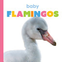 Baby Flamingos cover