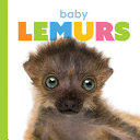 Baby Lemurs cover