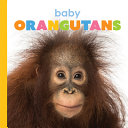 Baby Orangutans cover