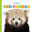 Baby Red Pandas cover
