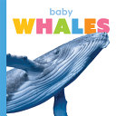 Baby Whales cover