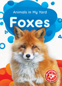 Foxes cover
