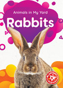 Rabbits cover