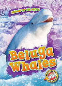 Beluga Whales cover