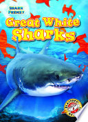 Great White Sharks cover