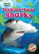 Hammerhead Sharks cover