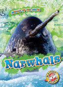 Narwhals cover