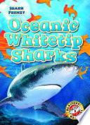 Oceanic Whitetip Sharks cover