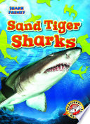 Sand Tiger Sharks cover