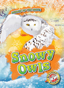Snowy Owls cover