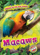 Macaws cover