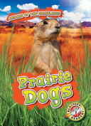 Prairie Dogs cover
