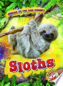 Sloths cover