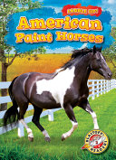American Paint Horses cover