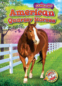 American Quarter Horses cover