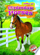 Clydesdale Horses cover