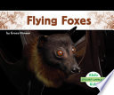 Flying Foxes cover
