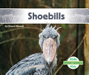 Shoebills cover