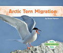 Arctic Tern Migration cover