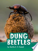 Dung Beetles cover