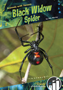 Black Widow Spider cover