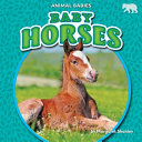Baby Horses cover
