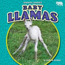 Baby Llamas cover