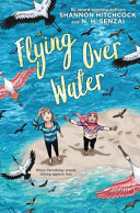 Flying over Water cover