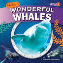 Wonderful Whales cover